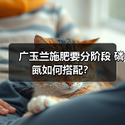 广玉兰施肥要分阶段 磷氮如何搭配?(图3) 广玉兰施肥要分阶段 磷氮如何搭配?(图3)