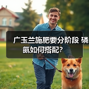 广玉兰施肥有讲究?不同阶段如何选肥?-辰飞雨绿源新宇生物有机 广玉兰施肥有讲究?不同阶段如何选肥?-辰飞雨绿源新宇生物有机