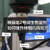 根据地2号微生物菌剂如何提升烤烟抗病能力？（图3）