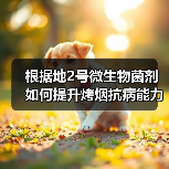根据地2号微生物菌剂如何提升烤烟抗病能力？（图2）