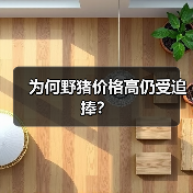 为何野猪价格高仍受追捧?(图1) 为何野猪价格高仍受追捧?(图1)