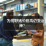 为何野猪价格高仍受追捧?(图4) 为何野猪价格高仍受追捧?(图4)