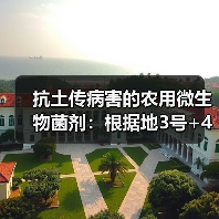 抗土传病害的农用微生物菌剂:根据地3号+4号效果如何?(图4) 抗土传病害的农用微生物菌剂:根据地3号+4号效果如何?(图4)