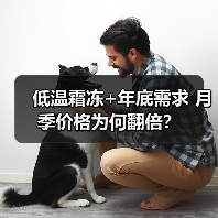 低温霜冻+年底需求 月季价格为何翻倍?(图3) 低温霜冻+年底需求 月季价格为何翻倍?(图3)