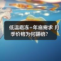 低温霜冻+年底需求 月季价格为何翻倍?(图1) 低温霜冻+年底需求 月季价格为何翻倍?(图1)