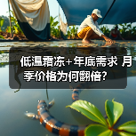 低温霜冻+年底需求 月季价格为何翻倍?(图4) 低温霜冻+年底需求 月季价格为何翻倍?(图4)