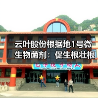 云叶股份根据地1号微生物菌剂:促生根壮根助农增产(图2) 云叶股份根据地1号微生物菌剂:促生根壮根助农增产(图2)