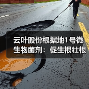 云叶股份根据地1号微生物菌剂:促生根壮根助农增产(图1) 云叶股份根据地1号微生物菌剂:促生根壮根助农增产(图1)
