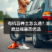 有机营养土怎么选?家庭盆栽基质优选(图3) 有机营养土怎么选?家庭盆栽基质优选(图3)