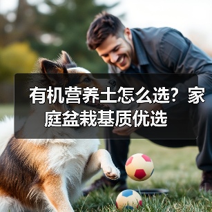 有机营养土怎么选?家庭盆栽基质优选(图2) 有机营养土怎么选?家庭盆栽基质优选(图2)