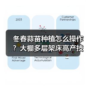 冬春蒜苗种植怎么操作？大棚多层架床高产技术详解（图1）