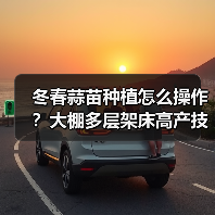 冬春蒜苗种植怎么操作？大棚多层架床高产技术详解（图3）