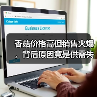 香菇价格高但销售火爆,背后原因竟是供需失衡? 香菇价格高但销售火爆,背后原因竟是供需失衡?