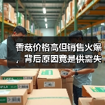 香菇价格高但销售火爆,背后原因竟是供需失衡?(图3) 香菇价格高但销售火爆,背后原因竟是供需失衡?(图3)