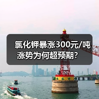氯化钾暴涨300元/吨 涨势为何超预期?(图2) 氯化钾暴涨300元/吨 涨势为何超预期?(图2)
