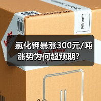 氯化钾暴涨300元/吨 涨势为何超预期?(图1) 氯化钾暴涨300元/吨 涨势为何超预期?(图1)