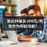 氯化钾暴涨300元/吨 涨势为何超预期?(图3) 氯化钾暴涨300元/吨 涨势为何超预期?(图3)