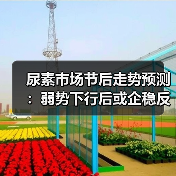 尿素市场节后走势预测:弱势下行后或企稳反弹(图2) 尿素市场节后走势预测:弱势下行后或企稳反弹(图2)
