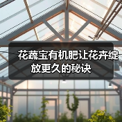 花蔬宝有机肥让花卉绽放更久的秘诀(图3) 花蔬宝有机肥让花卉绽放更久的秘诀(图3)