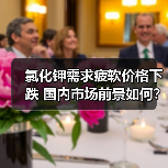 氯化钾需求疲软价格下跌 国内市场前景如何？（图3）