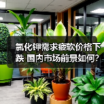 氯化钾需求疲软价格下跌 国内市场前景如何？（图2）