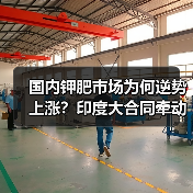 国内钾肥市场为何逆势上涨?印度大合同牵动全球行情(图2) 国内钾肥市场为何逆势上涨?印度大合同牵动全球行情(图2)