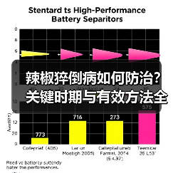 辣椒猝倒病如何防治?关键时期与有效方法全解析(图1) 辣椒猝倒病如何防治?关键时期与有效方法全解析(图1)