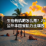 生物有机肥怎么用?25公斤丰田宝助力土壤改良(图1) 生物有机肥怎么用?25公斤丰田宝助力土壤改良(图1)