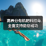 高养分有机肥料招商,全面支持助您成功(图2) 高养分有机肥料招商,全面支持助您成功(图2)