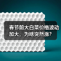 春节前大白菜价格波动加大,为啥突然涨?(图1) 春节前大白菜价格波动加大,为啥突然涨?(图1)