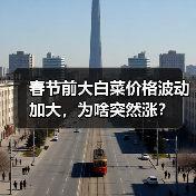 春节前大白菜价格波动加大,为啥突然涨?(图4) 春节前大白菜价格波动加大,为啥突然涨?(图4)
