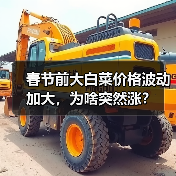 春节前大白菜价格波动加大,为啥突然涨?(图2) 春节前大白菜价格波动加大,为啥突然涨?(图2)