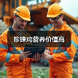 珍珠鸡营养价值高(图2) 珍珠鸡营养价值高(图2)