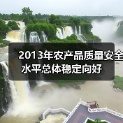 2013年农产品质量安全水平总体稳定向好(图3) 2013年农产品质量安全水平总体稳定向好(图3)