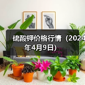 硫酸钾价格行情(2024年4月9日)(图3) 硫酸钾价格行情(2024年4月9日)(图3)