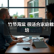 竹节海棠 很适合家庭栽培(图2) 竹节海棠 很适合家庭栽培(图2)