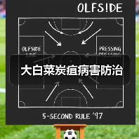 大白菜炭疽病害防治(图3) 大白菜炭疽病害防治(图3)