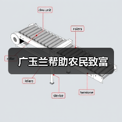 广玉兰帮助农民致富(图2) 广玉兰帮助农民致富(图2)