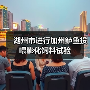 湖州市进行加州鲈鱼投喂膨化饲料试验(图3) 湖州市进行加州鲈鱼投喂膨化饲料试验(图3)