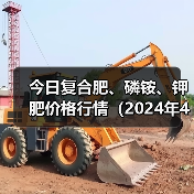今日复合肥、磷铵、钾肥价格行情(2024年4月9日)(图3) 今日复合肥、磷铵、钾肥价格行情(2024年4月9日)(图3)