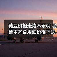 黄豆价格走势不乐观 乌鲁木齐食用油价格下跌(图3) 黄豆价格走势不乐观 乌鲁木齐食用油价格下跌(图3)