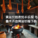 黄豆价格走势不乐观 乌鲁木齐食用油价格下跌(图4) 黄豆价格走势不乐观 乌鲁木齐食用油价格下跌(图4)