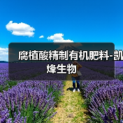 腐植酸精制有机肥料-凯烽生物(图2) 腐植酸精制有机肥料-凯烽生物(图2)