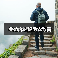 养殖麻蜥蜴助农致富(图3) 养殖麻蜥蜴助农致富(图3)