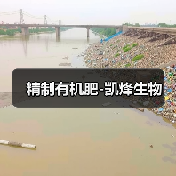 精制有机肥-凯烽生物（图4）