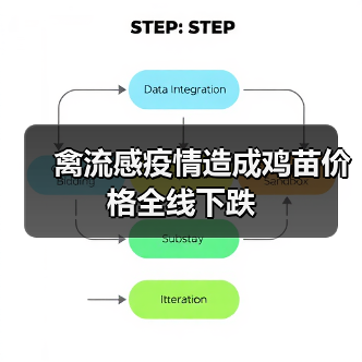 冬季禽流感冲击鸡苗市场 价格暴跌八成,何时回暖?-辰飞雨绿源 冬季禽流感冲击鸡苗市场 价格暴跌八成,何时回暖?-辰飞雨绿源
