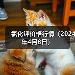 氯化钾价格行情(2024年4月8日)(图3) 氯化钾价格行情(2024年4月8日)(图3)