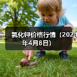 氯化钾价格行情(2024年4月8日)(图1) 氯化钾价格行情(2024年4月8日)(图1)