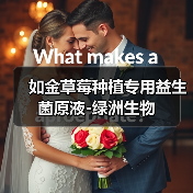 如金草莓种植专用益生菌原液-绿洲生物(图4) 如金草莓种植专用益生菌原液-绿洲生物(图4)