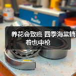 养花会致癌 四季海棠躺着也中枪(图4) 养花会致癌 四季海棠躺着也中枪(图4)